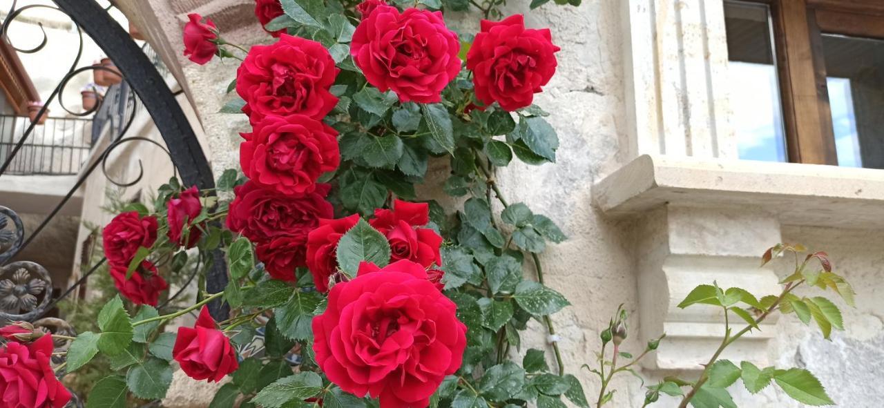 גורמה Adelya Cave Hotel מראה חיצוני תמונה